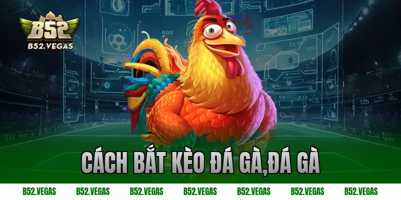 cách bắt kèo đá gà,đá gà
