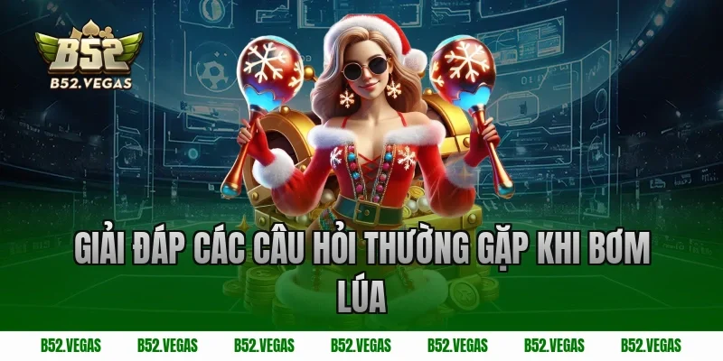 Giải đáp các câu hỏi thường gặp khi bơm lúa