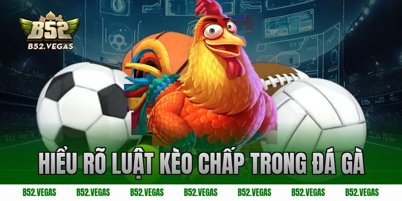 Hiểu rõ luật kèo chấp trong đá gà