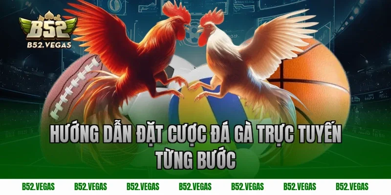 Hướng dẫn đặt cược đá gà trực tuyến từng bước